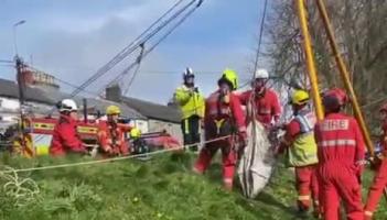 WATCH: Laois Fire and Rescue Service help rescue dog from disused Offaly well