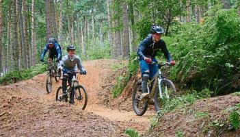 'Unprecedented impact' of Storm Éowyn dalays Laois Coillte development