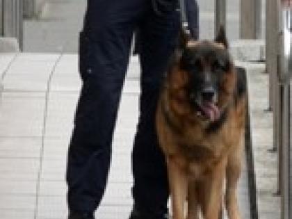 garda k9 unit