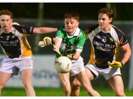 Crettyard finish strongly to take the points in Rosenallis