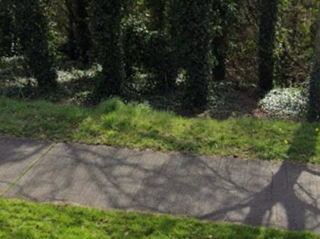 Garda&iacute; hunt for creepy flasher who performed public sex act at popular Irish walking spot