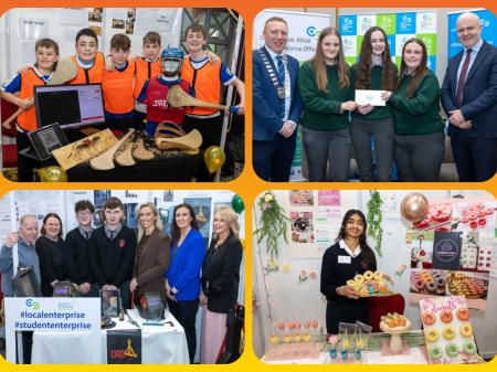 PHOTOS: Laois schools debut business ideas at Student Enterprise Awards