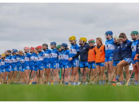 PREVIEW: Busy Saturday with Laois Camogie, minor hurlers and LGFA minor footballers all in action