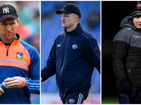 All-Ireland winning hurling coach and sports psychologist help Laois to GAA league triumph