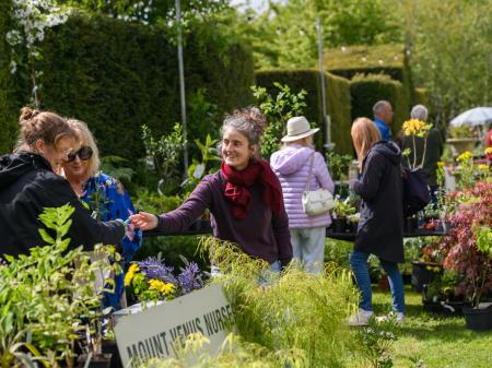 Food, art, gardening and more at Ballintubbert House festival in Laois
