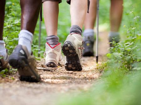 Popular Laois walking trail to close for essential maintenance works