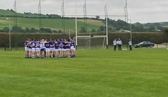 Laois TD asks 'who is going to buy out two GAA clubs?'