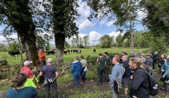 Laois farm hosting Ireland's first Farming For Nature summer festival