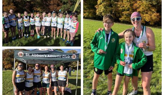 IN PICTURES: St Abban&rsquo;s dominate in Emo Court as Laois athletics season nears finale