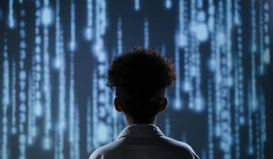 Laois councillor's 'fear' of children getting STEM technology training