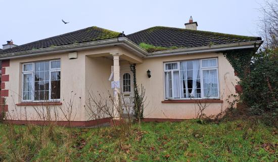 Compulsory purchase of vacant Laois homes 'making some headway'
