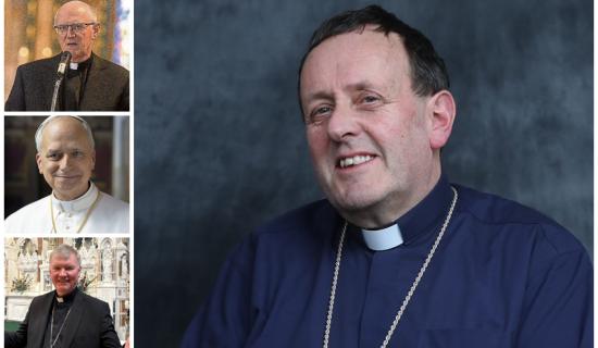Pope Leo appoints temporary leader Laois Catholic
