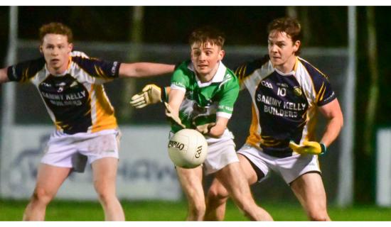 Crettyard finish strongly to take the points in Rosenallis