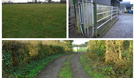 Substantial amount of Laois land leased at auction