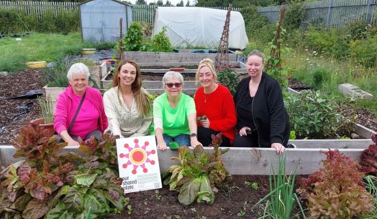 Green light as Portlaoise school offers to share site with new allotments