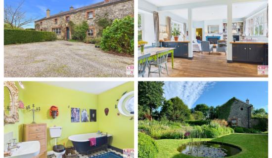 PICTURES: Take a look inside this historic 18th-century Laois home full of character