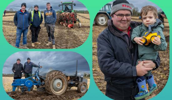 PICTURES: South Laois ploughers swing into action