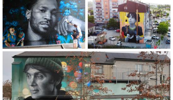 Which Laois local should be the face of Portlaoise's new mural?