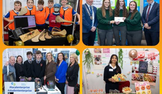 PHOTOS: Laois schools debut business ideas at Student Enterprise Awards