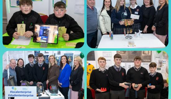 PHOTOS: Great success for Portlaoise schools at Laois student enterprise award finals!