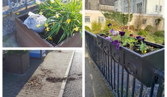 Laois locals lifts spirits with kind acts following destruction of Mountmellick daffodils