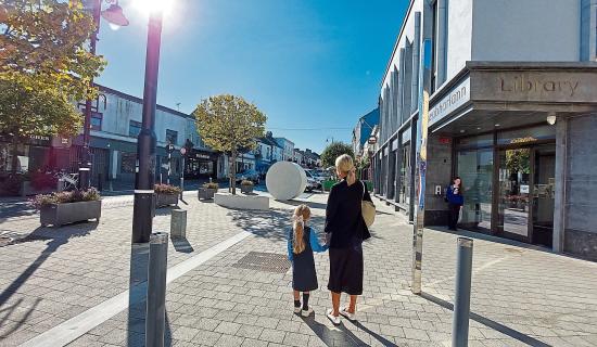 Council to request two extra primary schools for Portlaoise