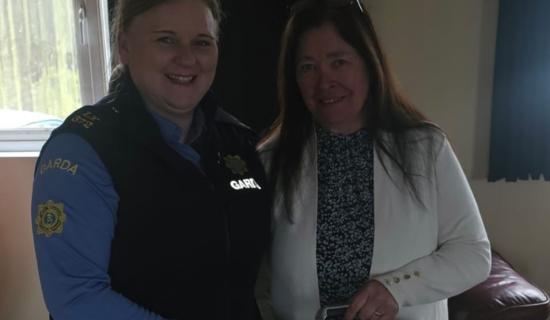 Laois Offaly Garda&iacute; recover stolen case
