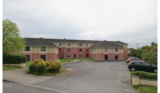 Elderly people forced to climb dangerous slope near Laois retirement village