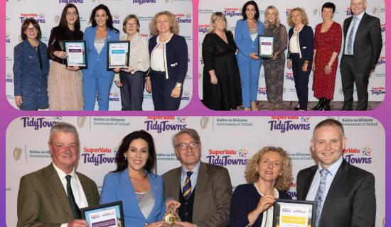 PHOTOS: Fantastic wins for Laois locals at Tidy Towns Awards