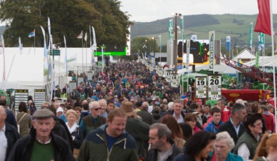 Jail sentence for headbutting female Garda at Ploughing Championships in Laois
