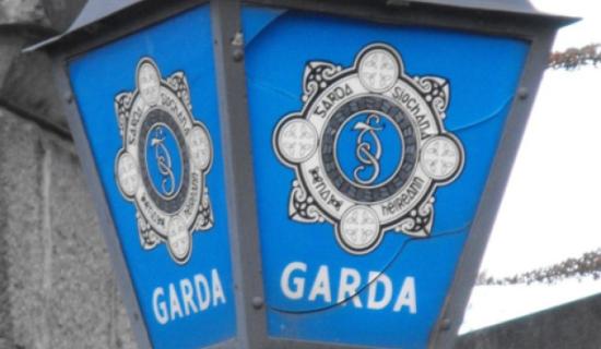 Woman airlifted to hospital after dog attack in Carlow