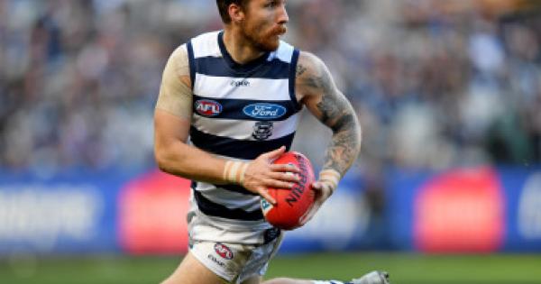 Watch Geelong Cats Pay Emotional Tribute To Zach Tuohy Touhhundred Leinster Express
