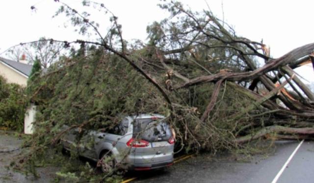 19b39ff0c3dbc2798f80e9c1d10bf753.jpg--storm_barra_laois_response___severe_weather_team_plans_actions-1733497752085_1733501210.jpg--storm_damage_.jpg