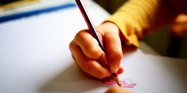 Rurul Laois kids can't get into schools due to town spillovers claims councillor