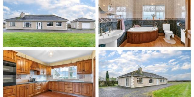 PICTURES: Large family home in Laois hits the market for &euro;475,000