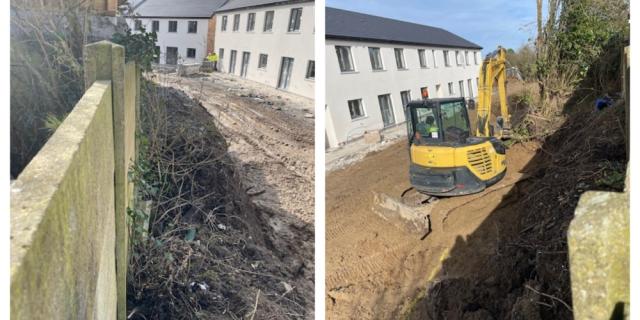 Portlaoise residents 'petrified' as abandoned gap between estates infested by rats
