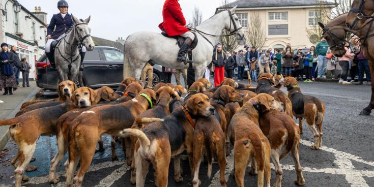 Peaceful protest planned at Christmas hunt in Laois