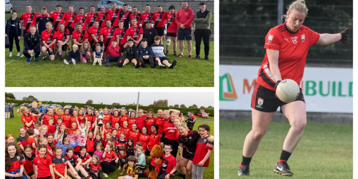 Laois GAA club seeks permission for new walking track and spectator fence