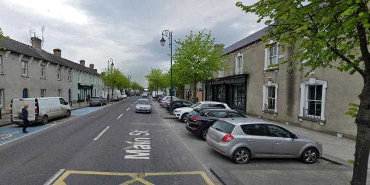 Laois Garda&iacute; renew appeal for witnesses of fatal Abbeyleix road collision