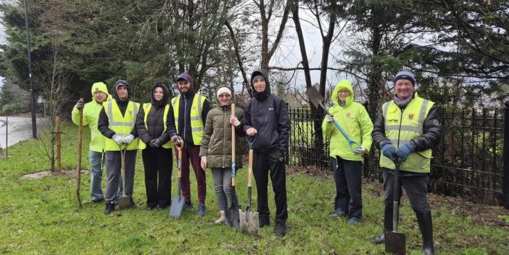 Laois Tidy Towns group giving away hundreds of free native trees