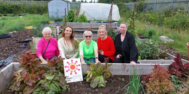 Green light as Portlaoise school offers to share site with new allotments