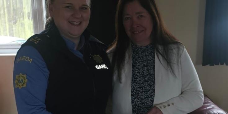 Laois Offaly Garda&iacute; recover stolen case