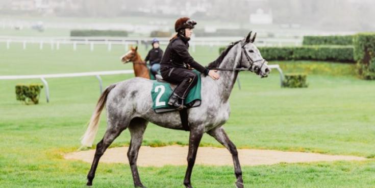 Laois vet student rides out for Willie Mullins stables at Cheltenham