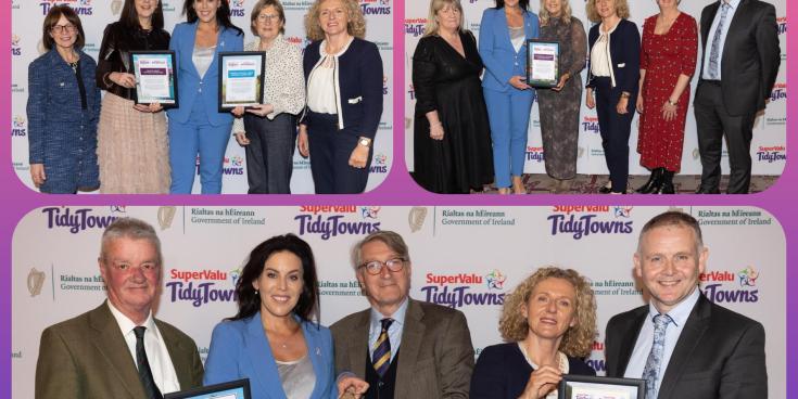 PHOTOS: Fantastic wins for Laois locals at Tidy Towns Awards