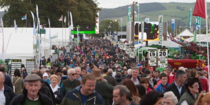 Jail sentence for headbutting female Garda at Ploughing Championships in Laois