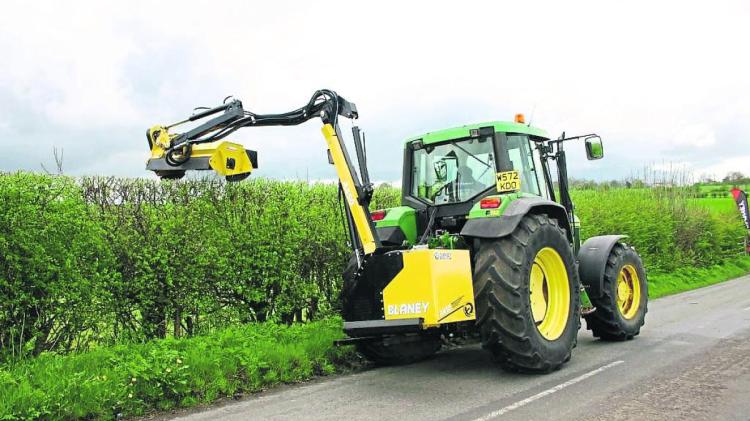 'Hedge in middle of road' Laois complaint over Coillte not trimming roadside growth