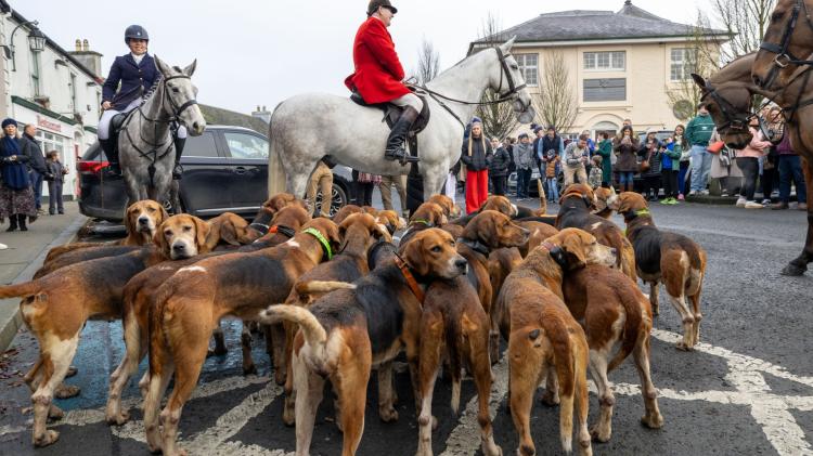 Peaceful protest planned at Christmas hunt in Laois