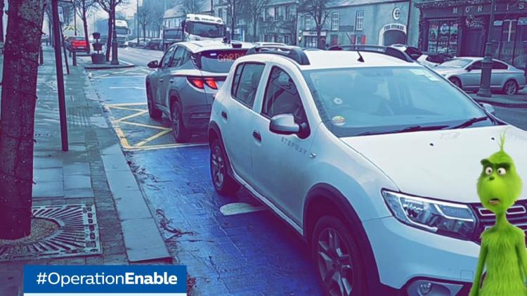 Laois Garda&iacute; stop 'Grinch' stealing disabled parking spaces this Christmas