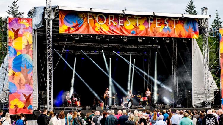 Laois festival act cancels with replacement sought