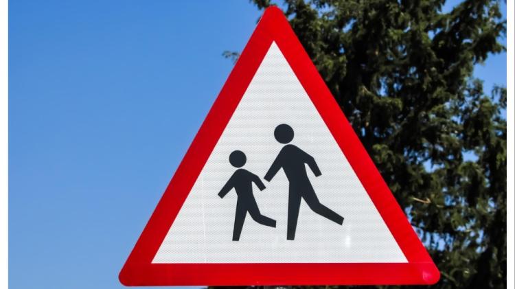 Demands for national funding for road safety measures at Laois schools